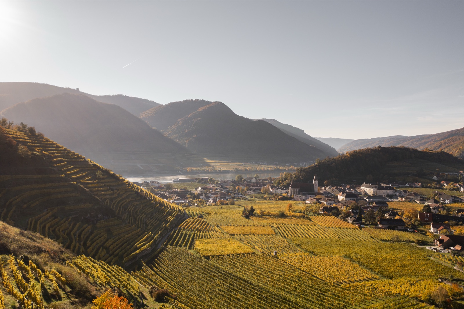 Herbstliche Weinterrassen ueber Spitz an der Donau