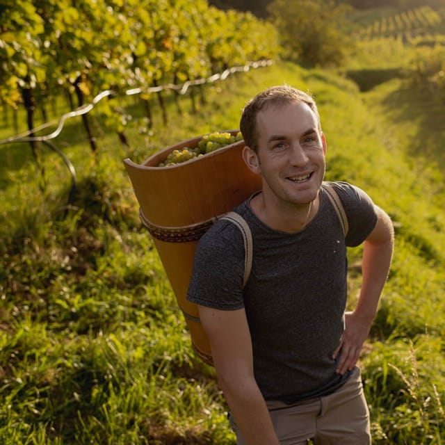 Weingut Pöchlinger